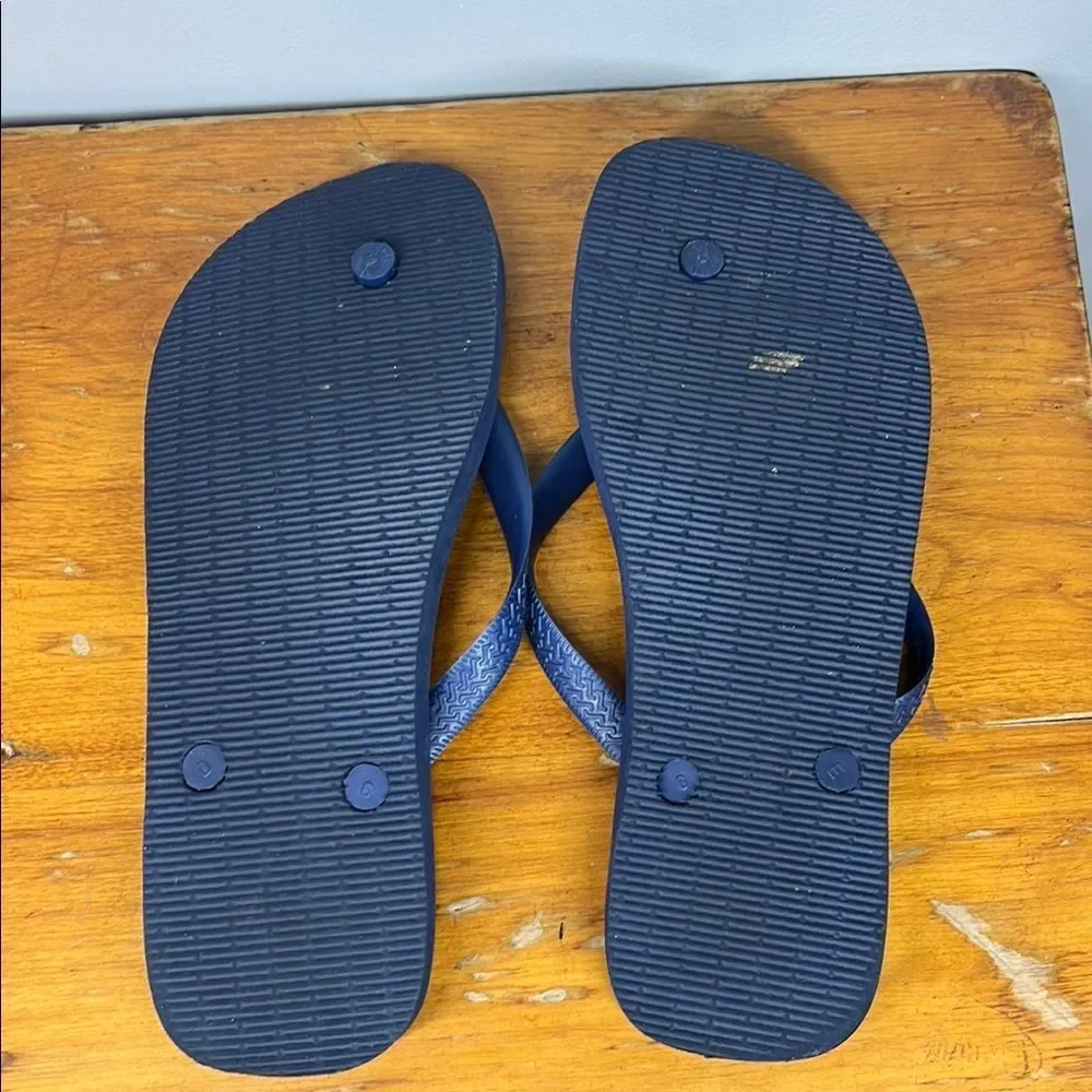 Havaianas Navy and Blue Flip Flops